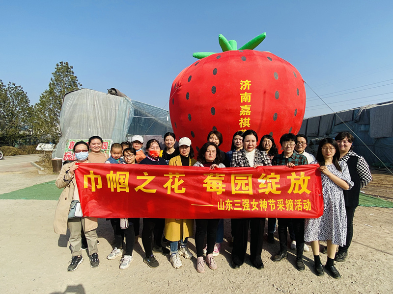 巾幗之花，莓園綻放 ——山東三強組織“三八”節(jié)踏青采摘活動